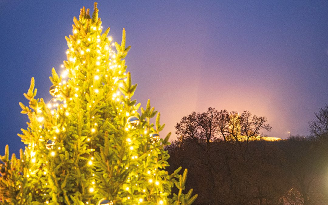 Jubiläums-Weihnachtsmarkt Mühlberg