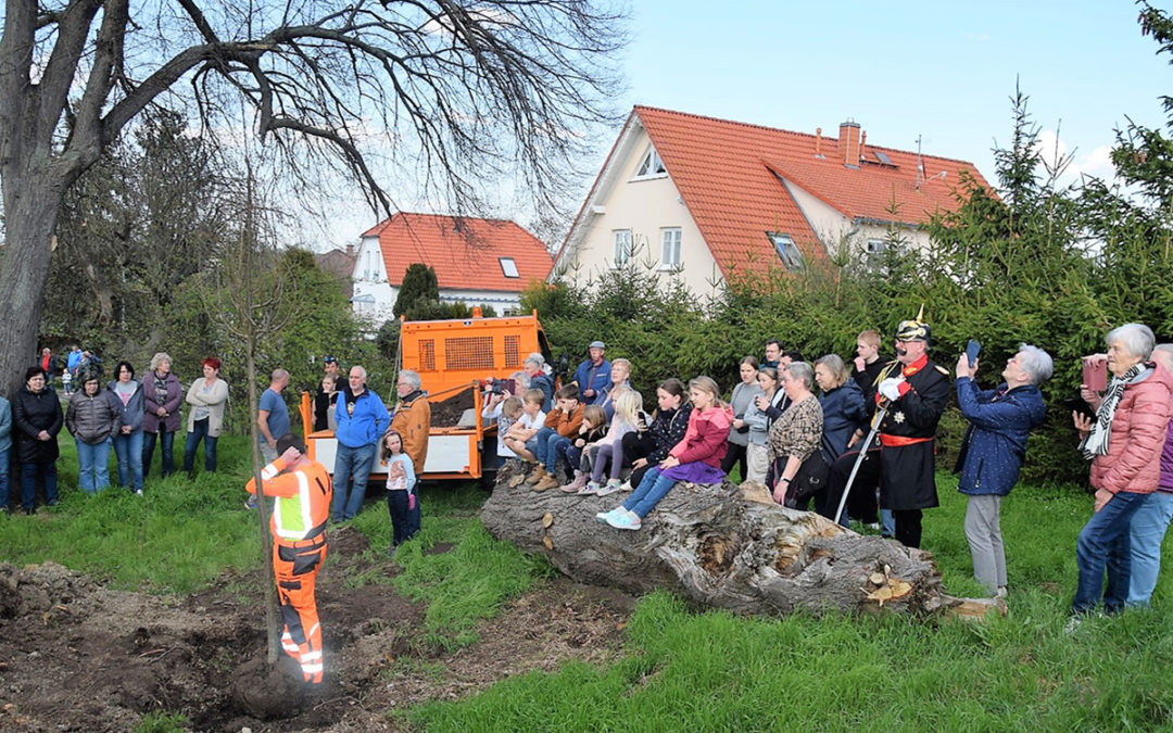 Baumpflanzung zu Kaiserlichen Ehren