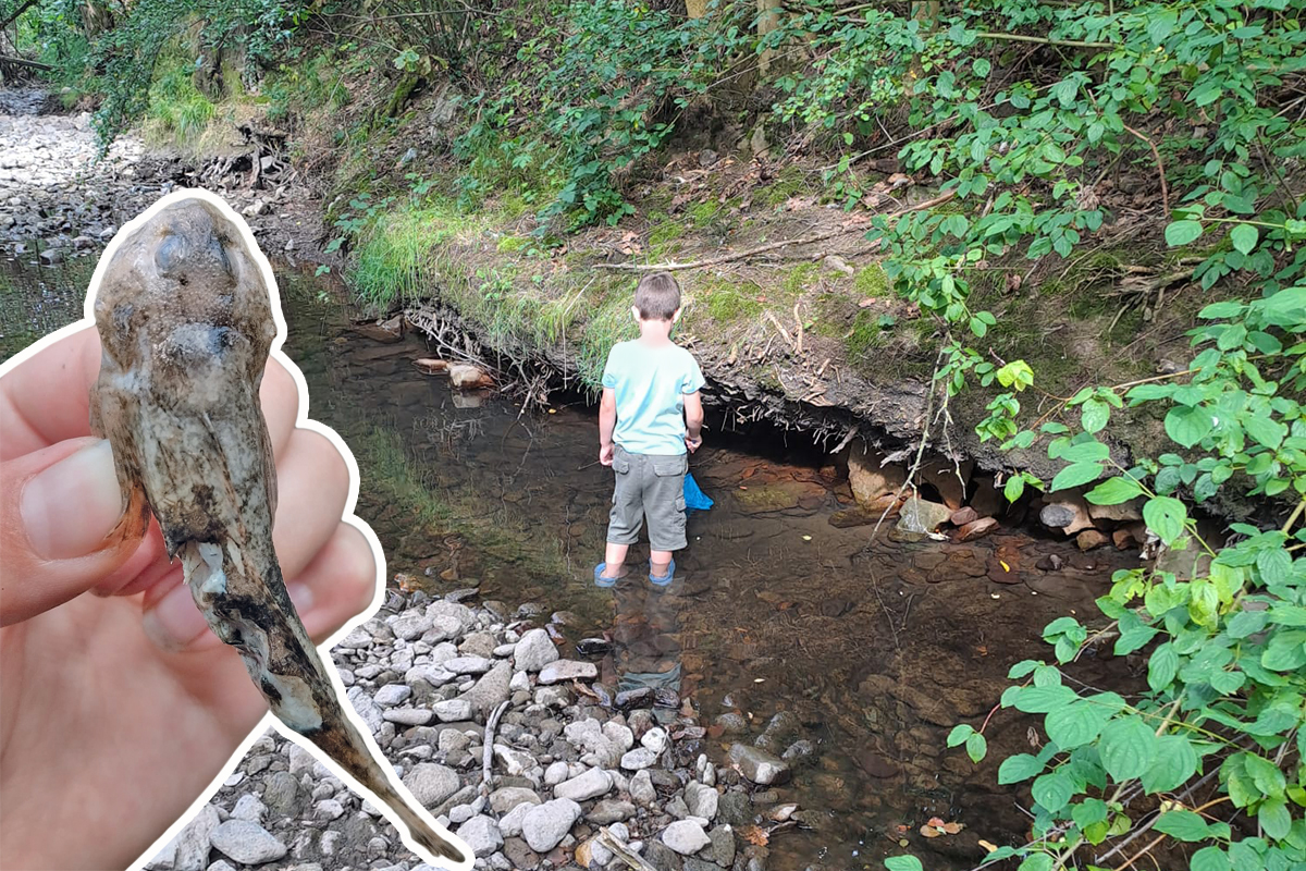 Burgen-Blick - BI zu wenig Wasser für die Apfelstädt