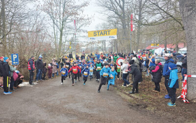 Erfolgreicher 15. Dreikirchenneujahrslauf